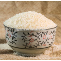 Calrose Sushi kurzer Reis